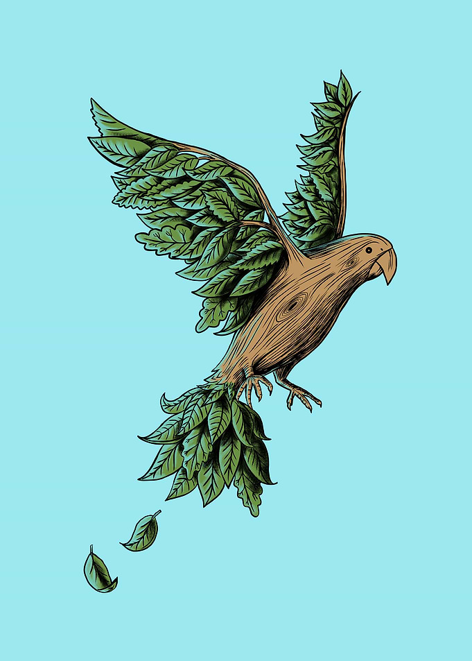 Bird Wood