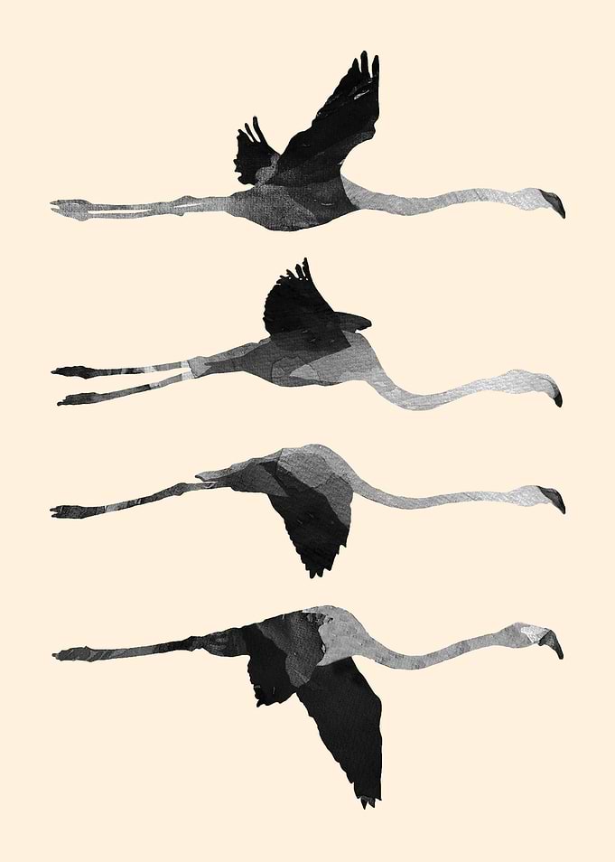 Flying Flamingos