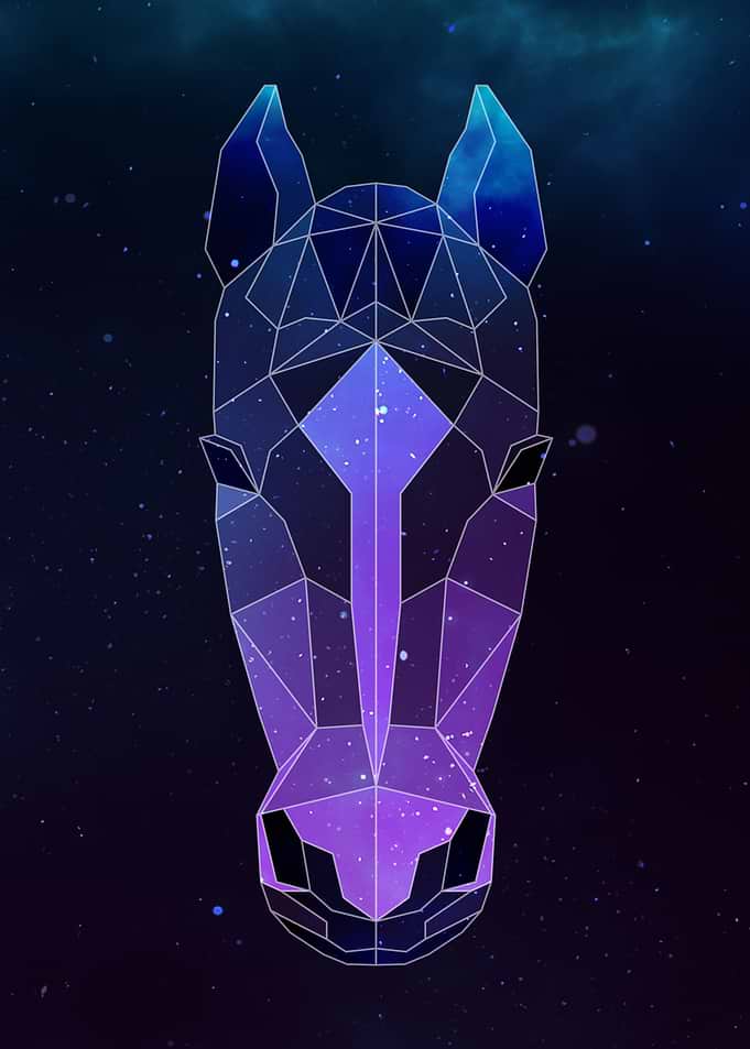 Galaxy Horse