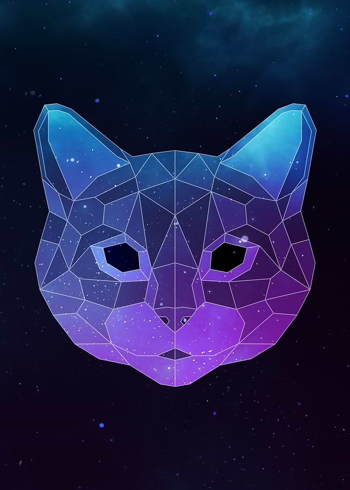 Galaxy Cat