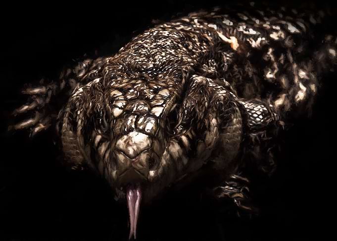 tegu
