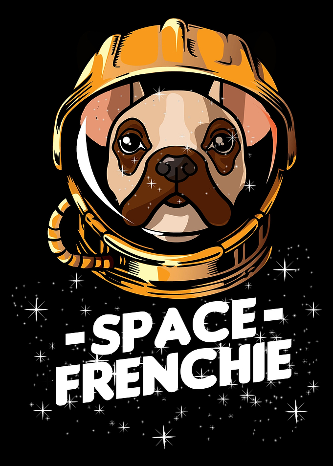 Space Frenchie Bulldog