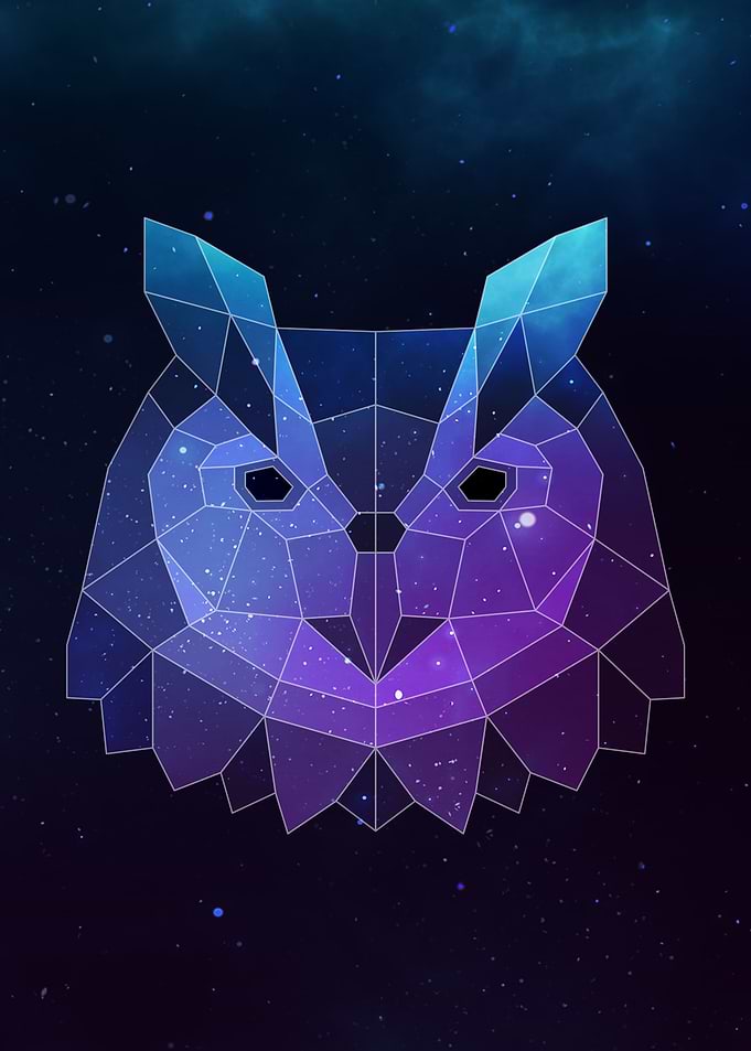 Galaxy Owl