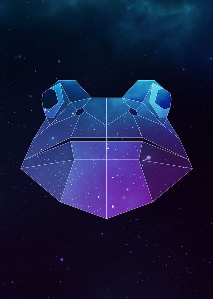 Galaxy Frog