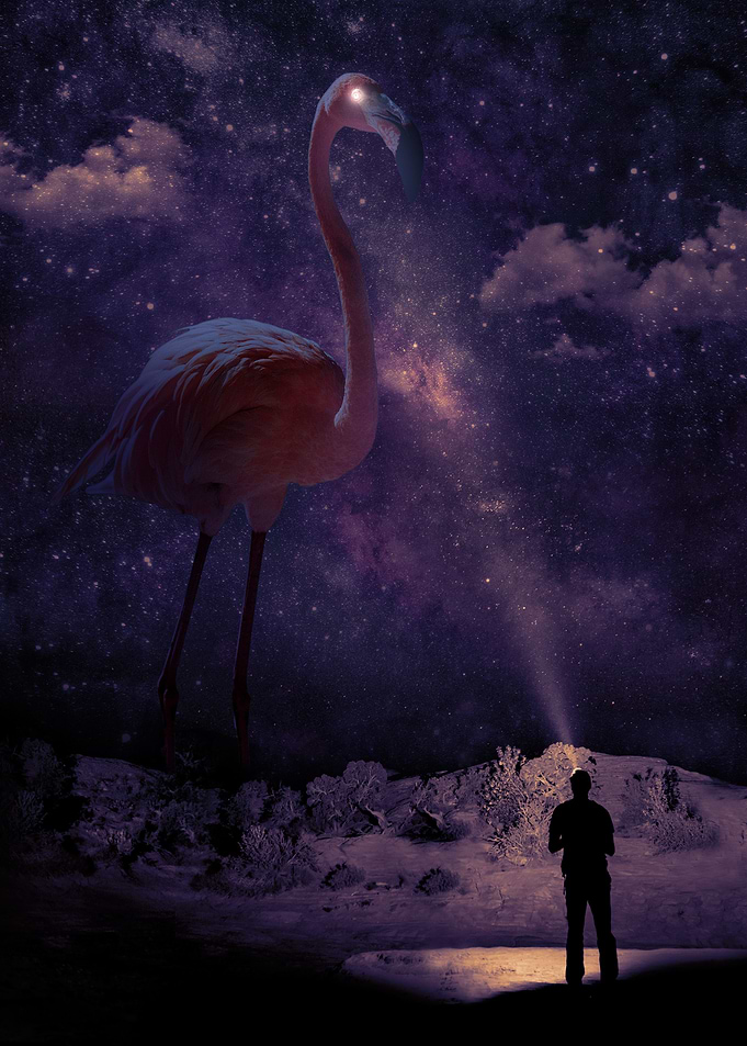 Encounter