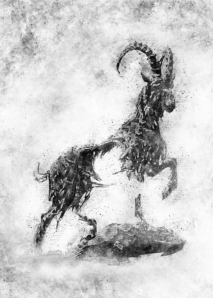 Capricorn