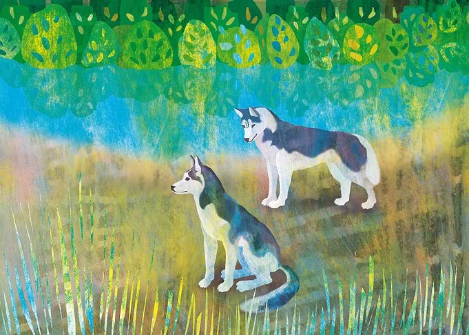 Two Huskies by the River