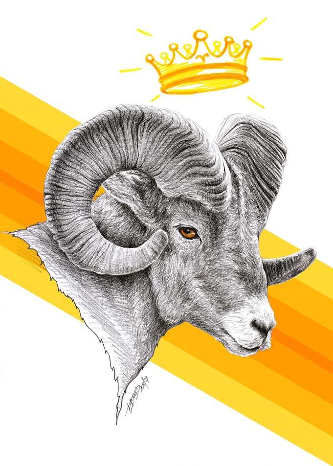 Ram king