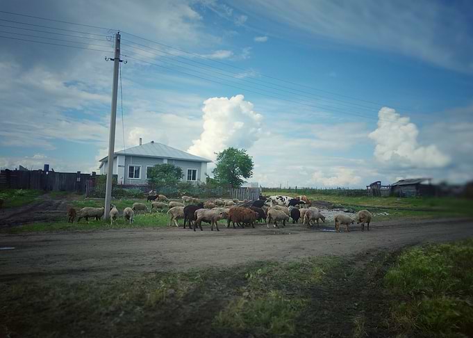 Rural landscape