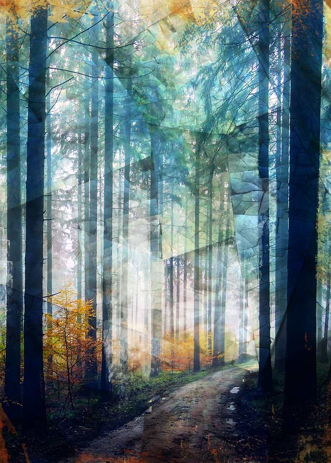 Forest I