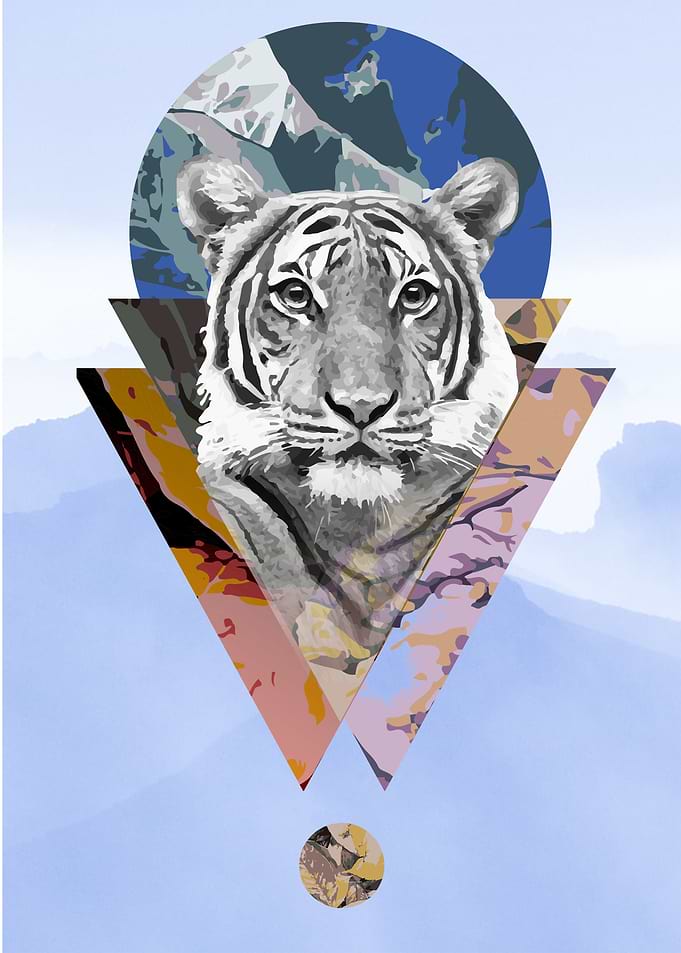 Sacred Tiger