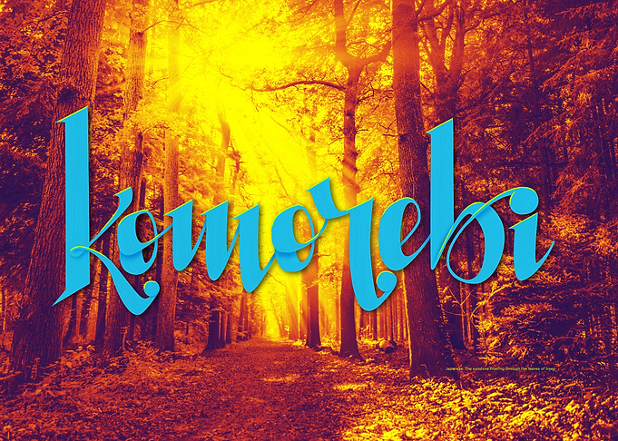 Komorebi woods