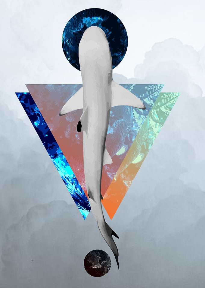 Sacred Shark