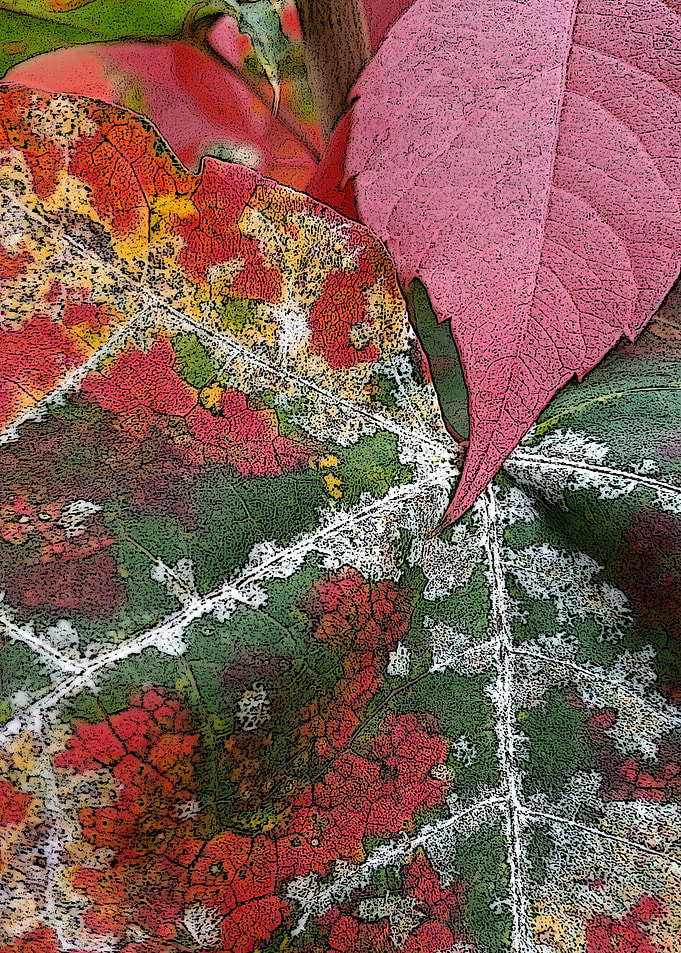 rust of autumn