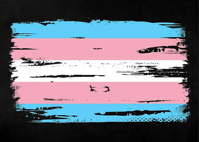 Trans Flag