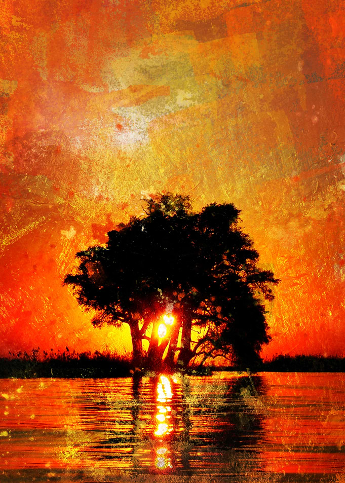 Lonely trees