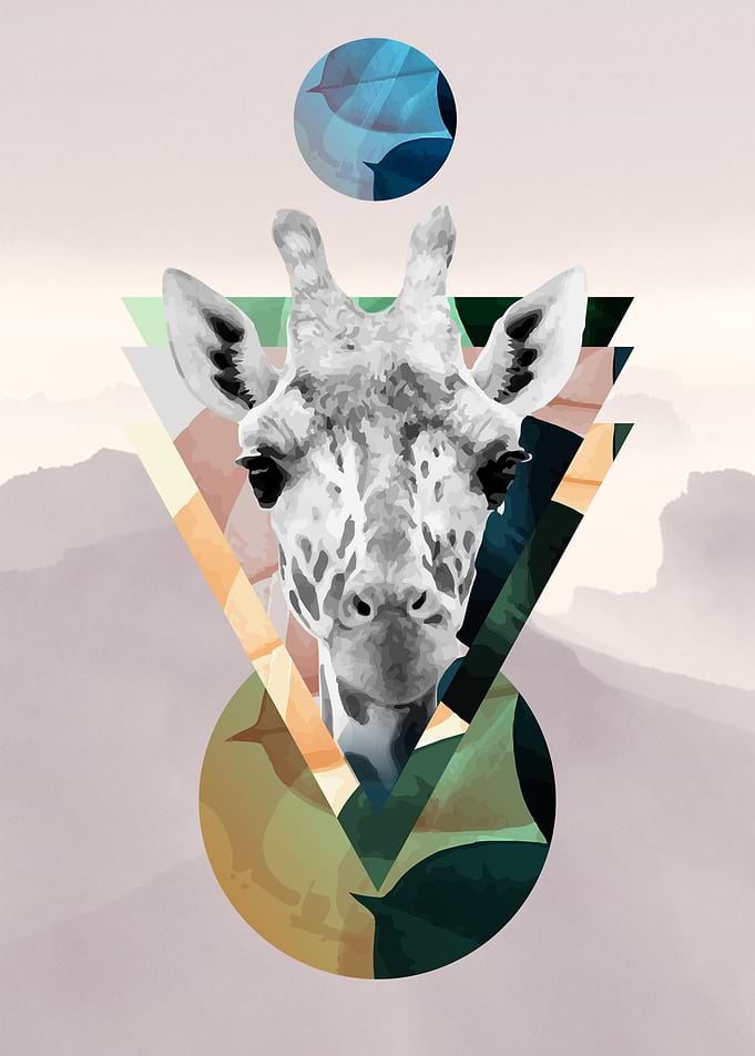 Sacred Giraffe