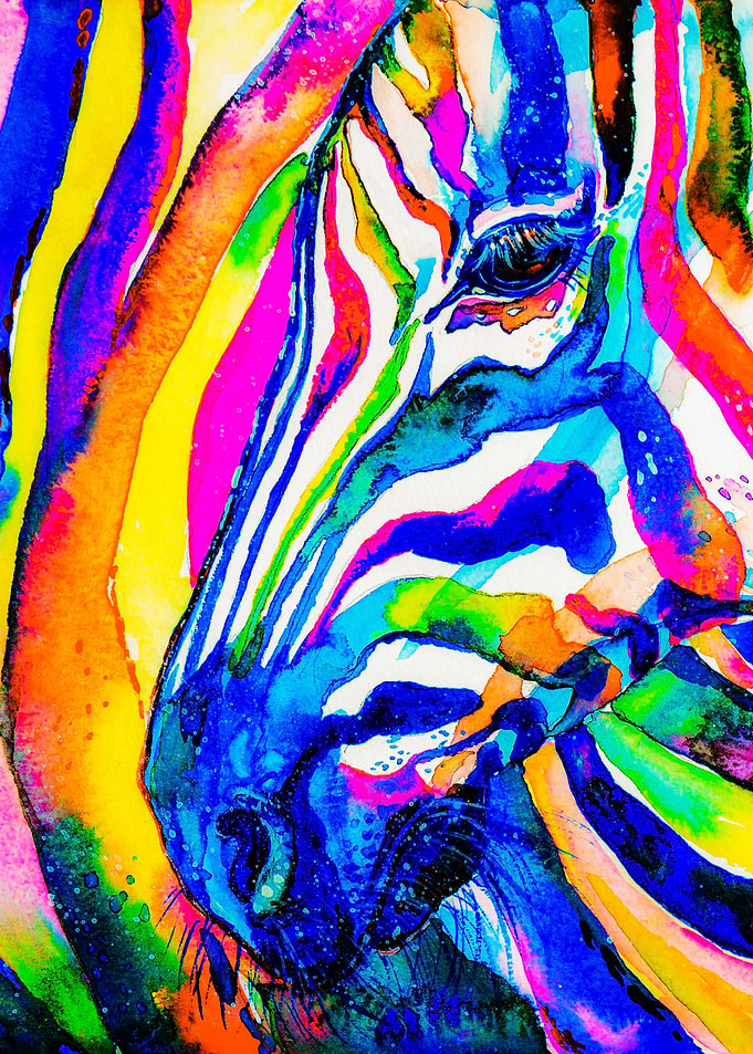 Zebra
