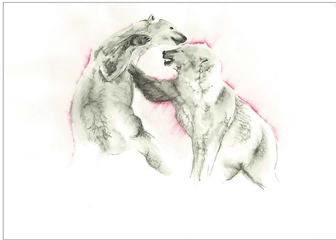 Snowy bears