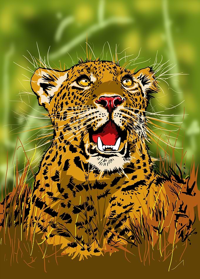 leopard looking up