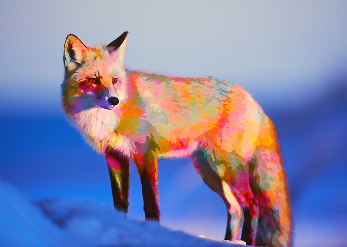 WATERCOLOUR FOX