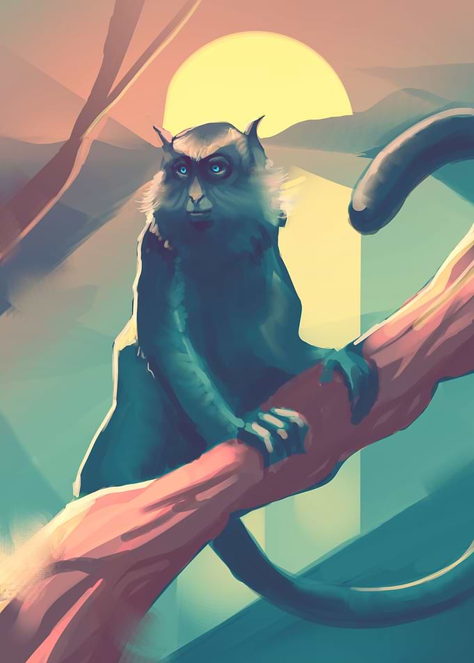 monkey