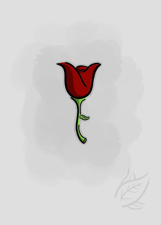 Rose