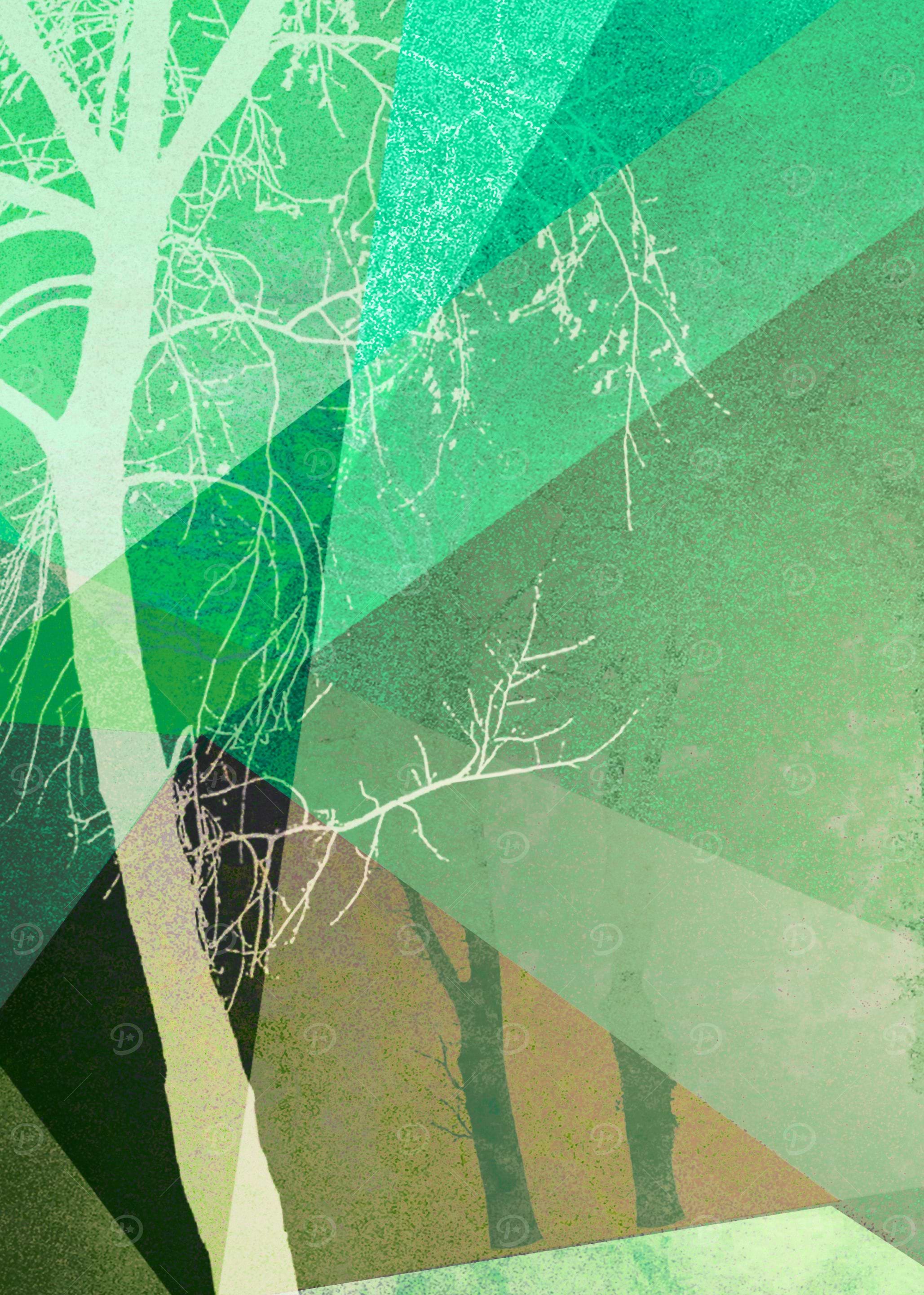 P22-B6 TREES AND TRIANGLES