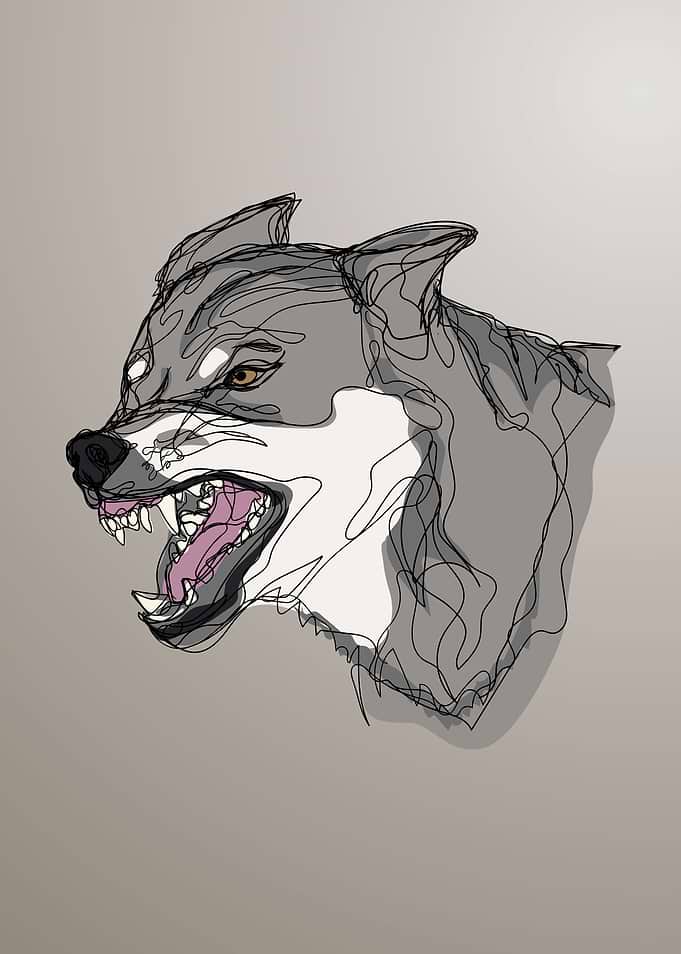 Wolf Head