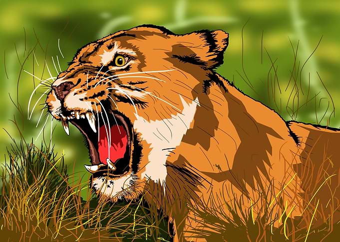 angry lion