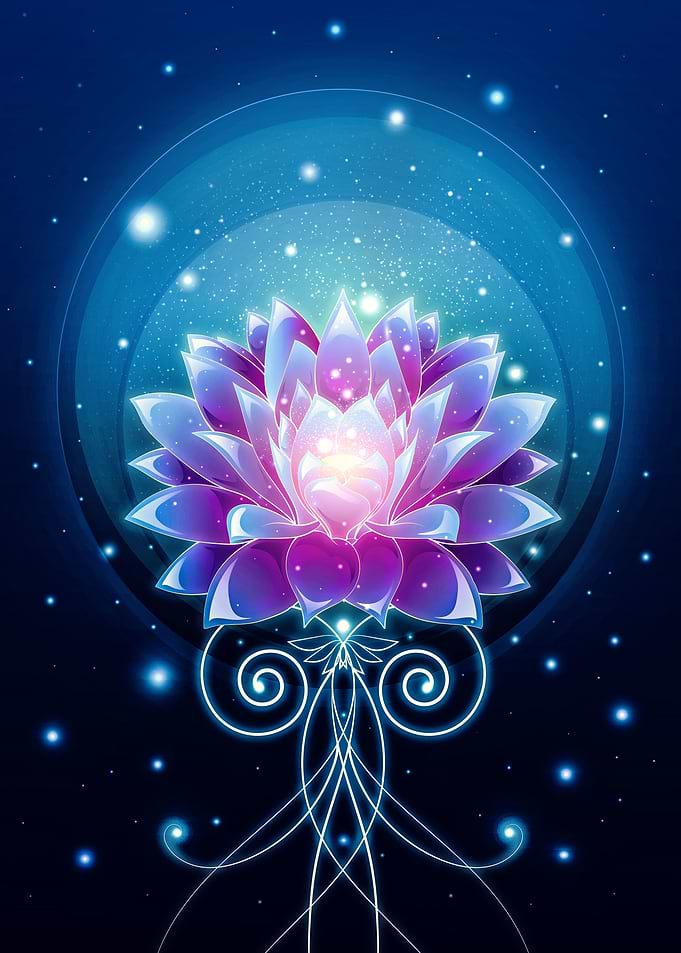 Dream Lotus
