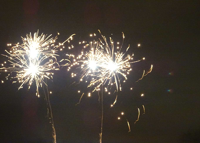 Firework Flowers