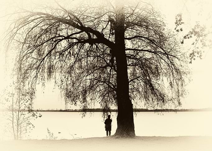 A woman with a tree