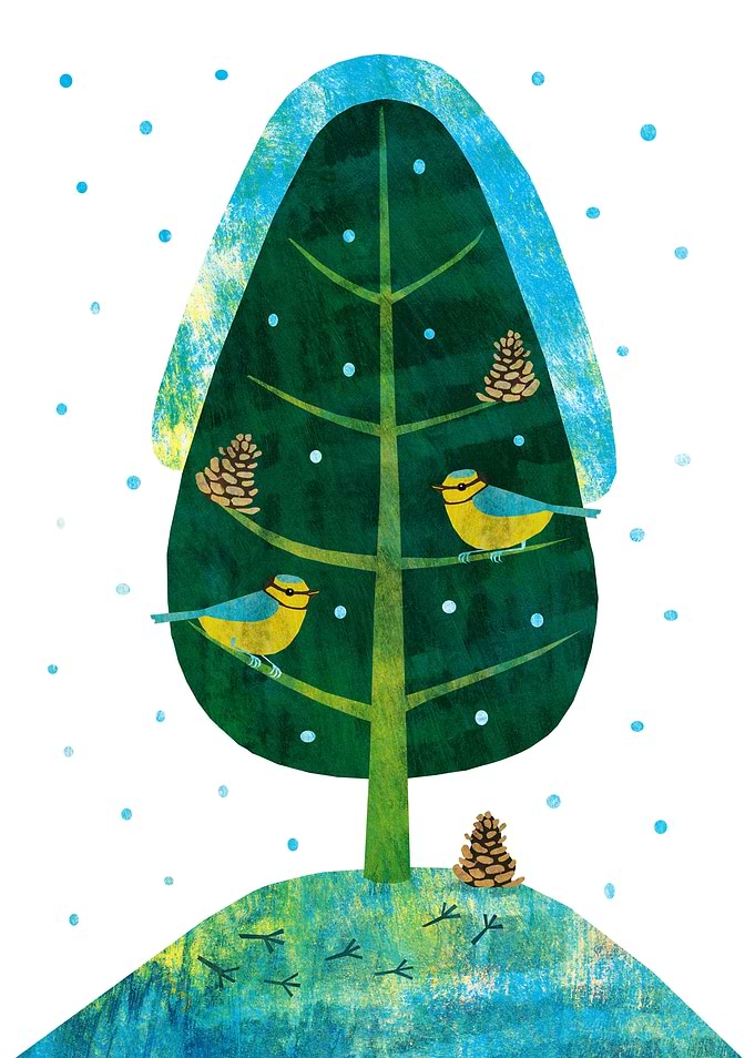 Blue Tits on Winter Tree