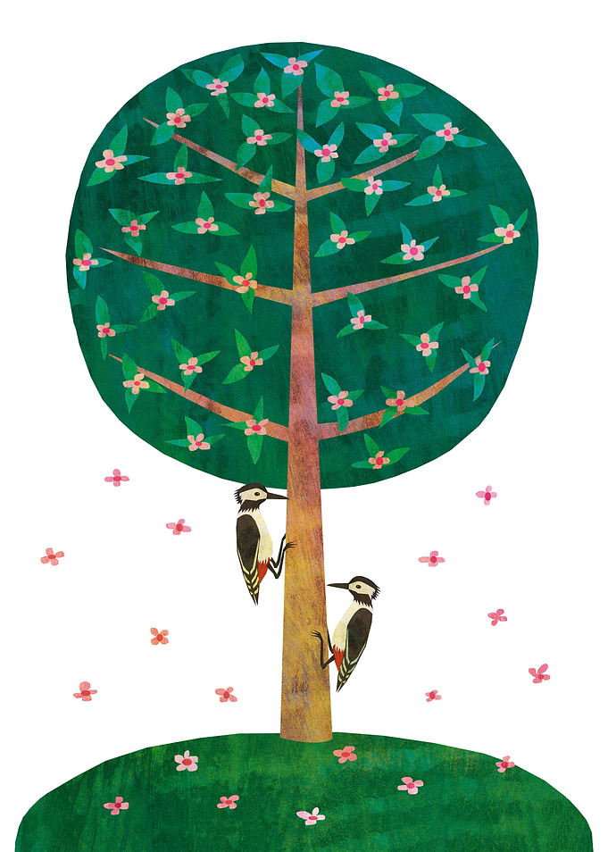 Woodpeckers on Spring Tree