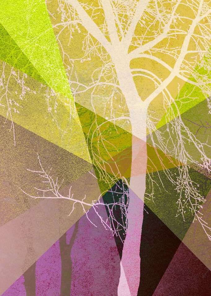 P22-A2 TREES AND TRIANGLES