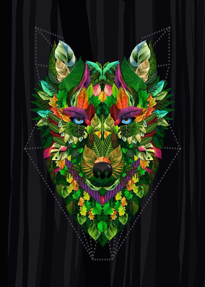 Nature Warrior