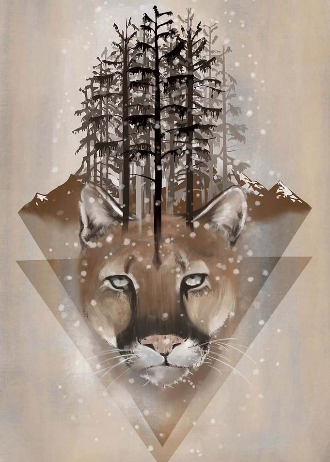 cougar