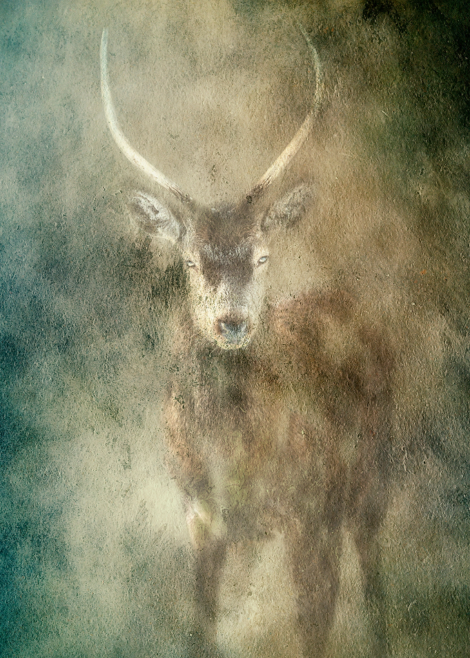 Youngster