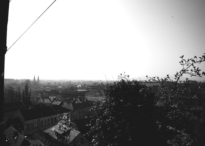 foggy views