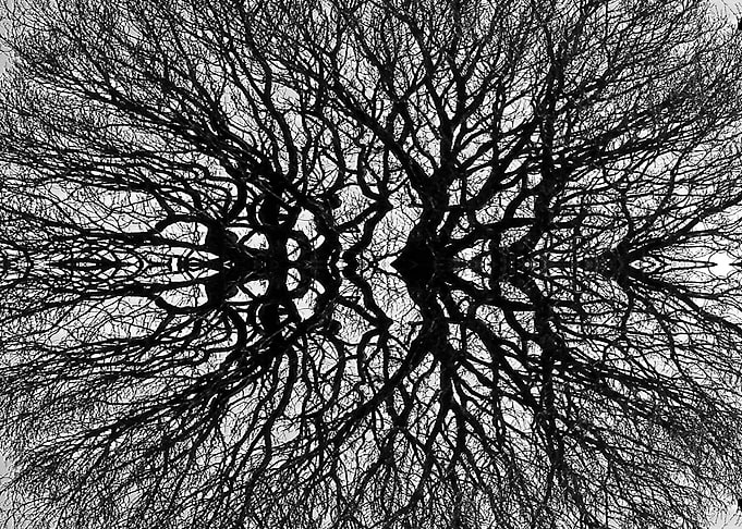 Reflection Black and White
