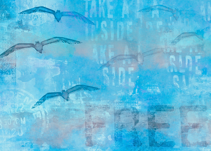 Free Like A Bird