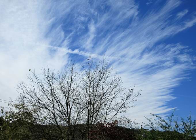 Florida Sky