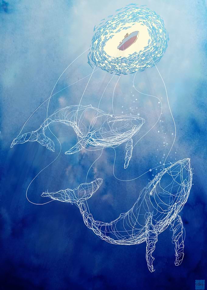whales