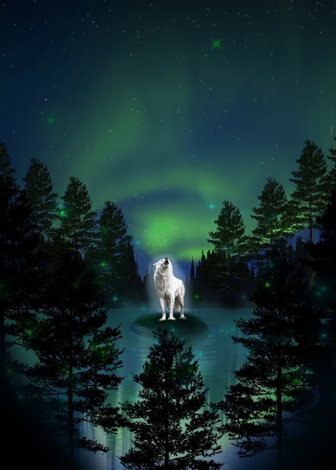 Wolf