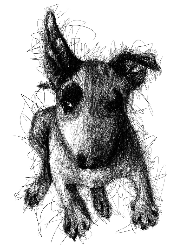 Sparki