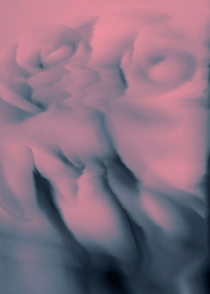 Abstract pink rose