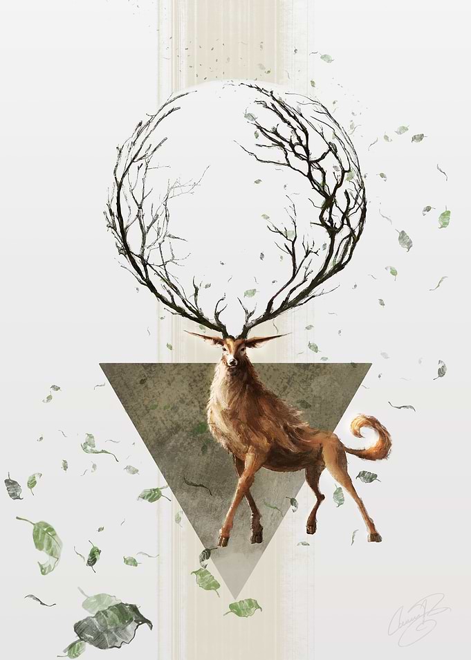 Geometry in Nature