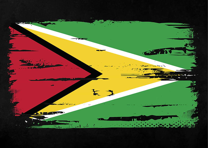 Guyana Flag