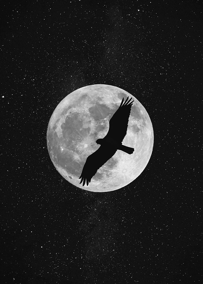 Full moon and falcon